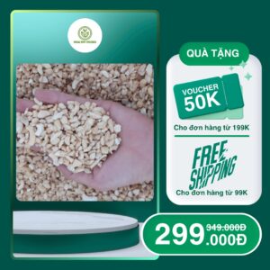 Nhân Macca Vụn Cao Cấp – Tiết Kiệm, Dinh Dưỡng, Dùng Nấu Ăn Và Làm Bánh